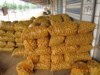 肥城潤通進出口貿易 日用品貿易的穩健發展之路