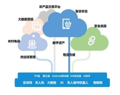 帝隆科技 數(shù)字農(nóng)業(yè)賦能供應(yīng)鏈管理，助推農(nóng)業(yè)產(chǎn)業(yè)高效發(fā)展